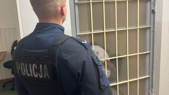 Policyjny pościg zakończony zatrzymaniem. Kierowca Audi miał na sumieniu znacznie więcej niż ucieczkę