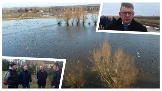 [WIDEO} Powiśle i Żuławy pod wodą. Rolnicy alarmują!  - To nie jest problem techniczny, to kwestia bytu i przetrwania