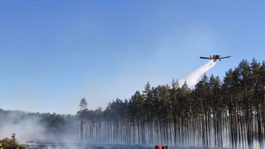 [ZDJĘCIA] Wielka akcja gaśnicza w powiecie sztumskim. Las stanął w ogniu