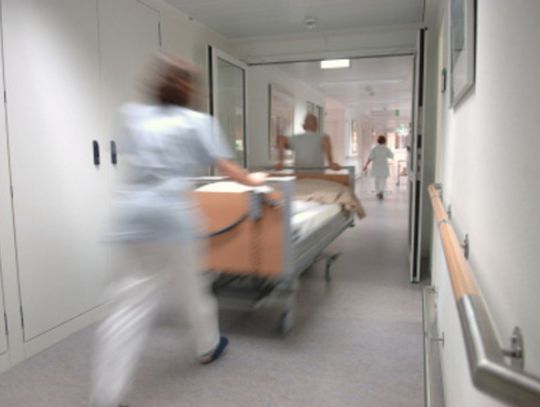 11 lutego 2026 r. - Ważny dzień w kalendarzu. Światowy Dzień Chorych