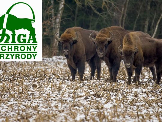 9 stycznia 2026 r. - Ważny dzień w kalendarzu. Dzień Ligi Ochrony Przyrody 9 stycznia 2026 r. - Ważny dzień w kalendarzu. Dzień Ligi Ochrony Przyrody