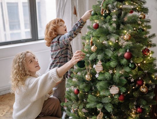 Choinka a bezpieczeństwo w domu – na co zwrócić uwagę przy wyborze drzewka na święta? Choinka a bezpieczeństwo w domu – na co zwrócić uwagę przy wyborze drzewka na święta?