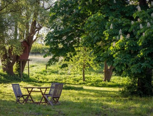 Co nowego w świecie domu i ogrodu? Najciekawsze inspiracje i rozwiązania Co nowego w świecie domu i ogrodu? Najciekawsze inspiracje i rozwiązania