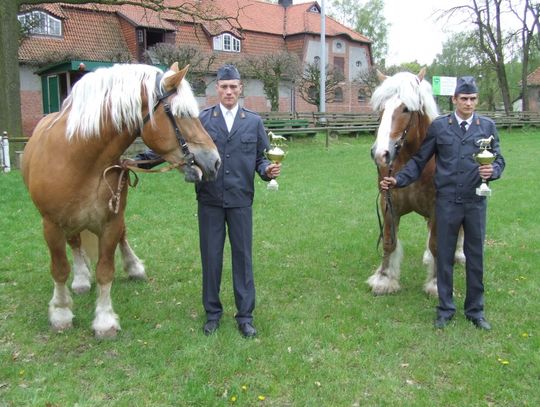 Co potrafią Mustang i Stolnik?