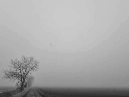 Dlaczego listopad tak bardzo odbiera nam energię?