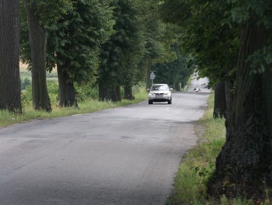 Drzewa jednak ważniejsze niż ludzie?