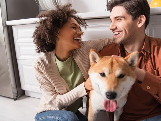 Hotel dla psów Gdańsk – jak wybrać najlepsze miejsce dla swojego pupila Hotel dla psów Gdańsk – jak wybrać najlepsze miejsce dla swojego pupila