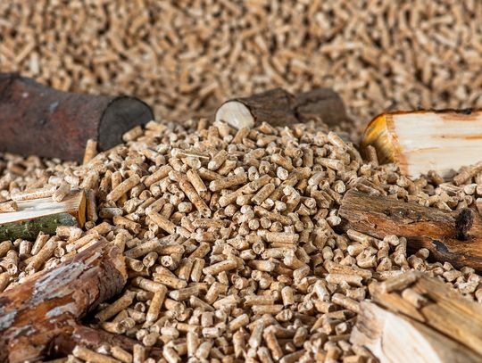 Jak produkuje się pellet? Wyjaśniamy proces krok po kroku Jak produkuje się pellet? Wyjaśniamy proces krok po kroku