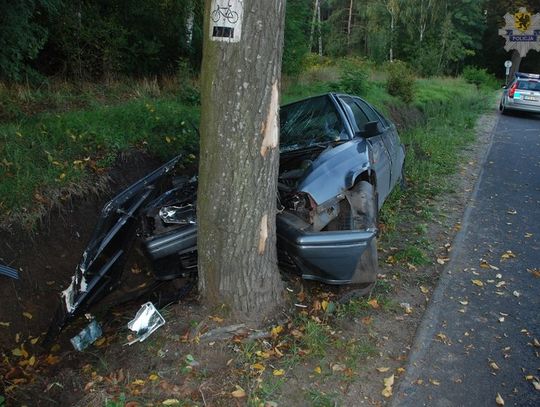 Jazdę zakończył na drzewie