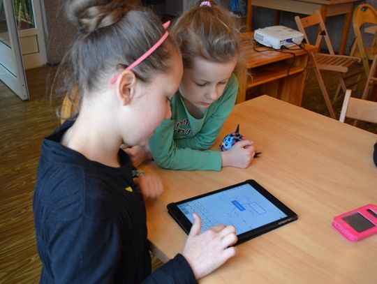 Małpa w internecie