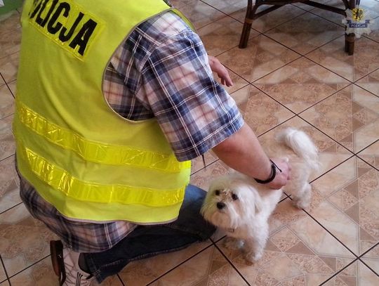 Policjanci odzyskali psa