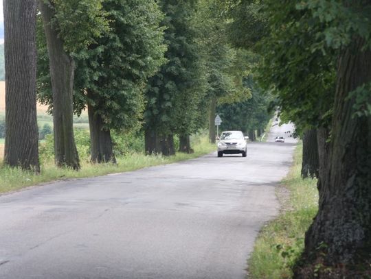 Ponownie rozpatrzą wycinkę drzew