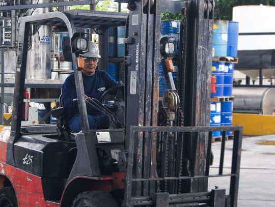 Praca w Belgii – jak zacząć i gdzie szukać ofert