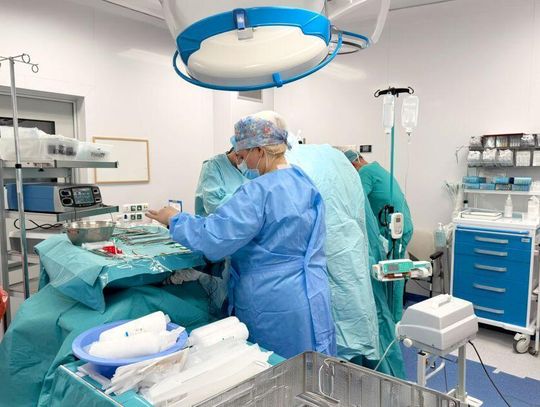 Przeprowadzono pierwsze transplantacje w tym roku