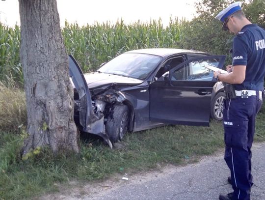 Samochód uderzył w drzewo, jedna osoba ranna