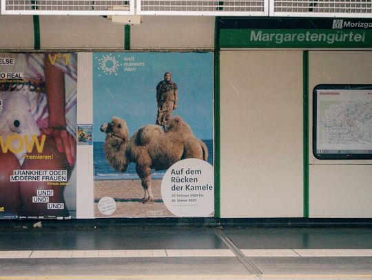 Ścianki reklamowe, gabloty magnetyczne i inne systemy – jak wybrać najlepsze rozwiązania?