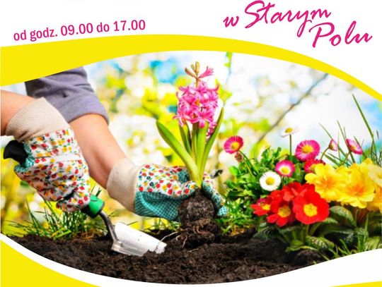 Wiosna zaczyna się w Starym Polu