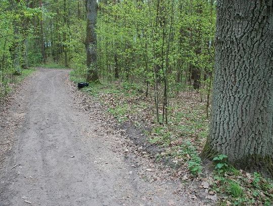 Wypadek na torze motocrossowym 