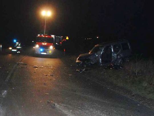 Zginął kierowca w wypadku koło Rakowca