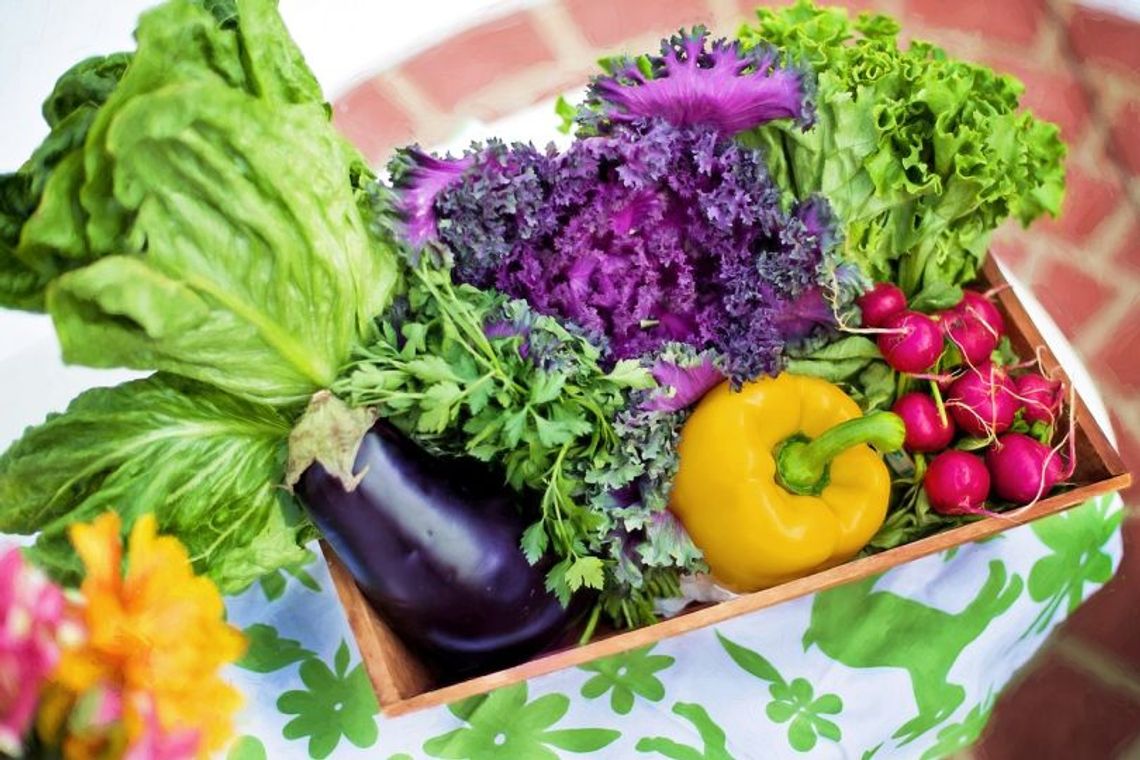16 czerwca 2025 r. - Ważny dzień w kalendarzu. Dzień Jedzenia Warzyw (National Eat Your Vegetables Day)