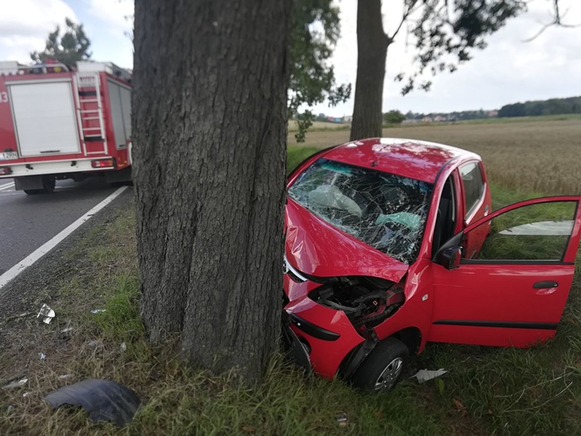 81-letni kierowca uderzył w drzewo