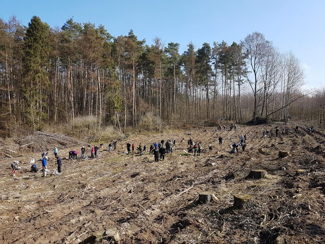 Aura pogodowa sprzyjała wspólnej inicjatywie