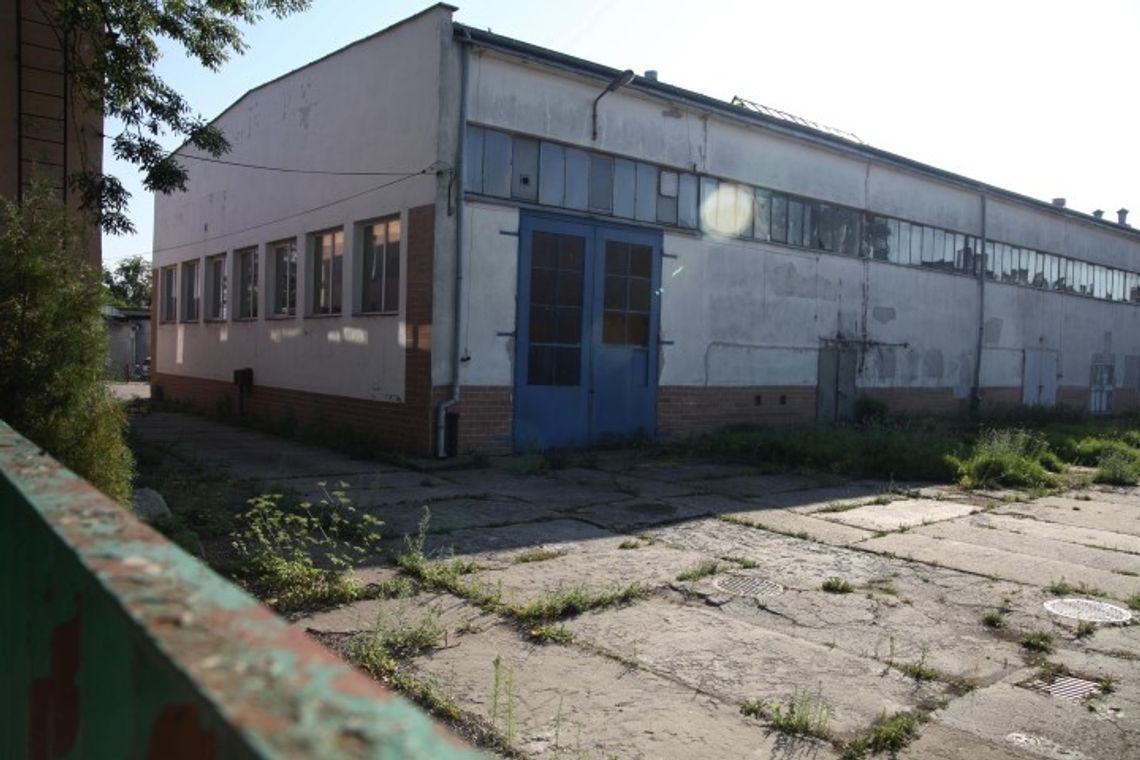 Chętni na byłe warsztaty