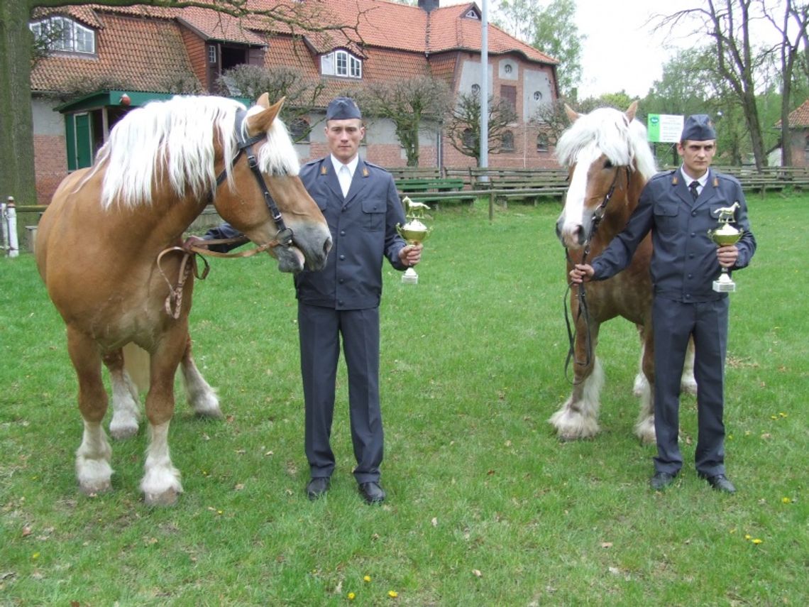 Co potrafią Mustang i Stolnik?