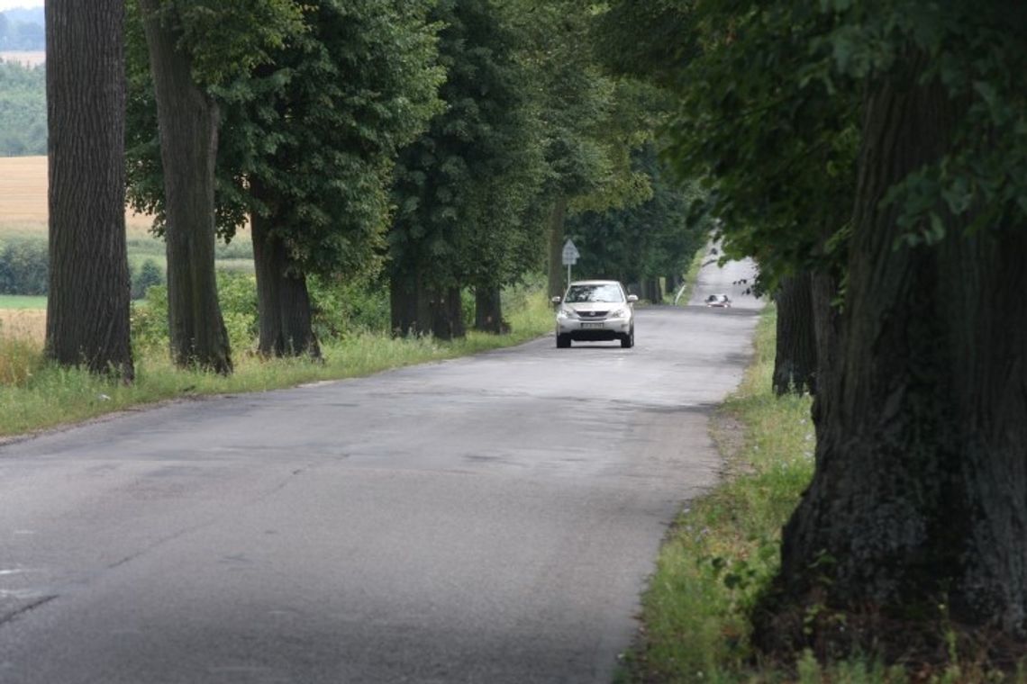 Drzewa jednak ważniejsze niż ludzie?