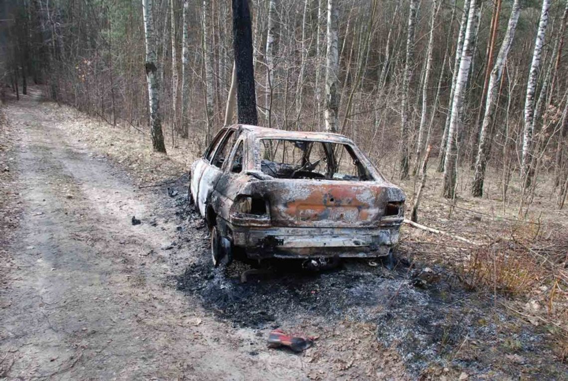 Ford - na przejażdzkę i do spalenia Ford - na przejażdzkę i do spalenia