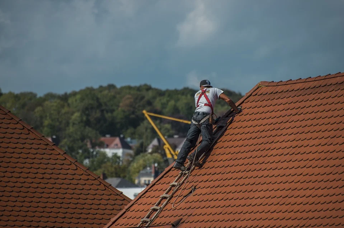 Jak zbudować współczesny dach, odporny na destrukcyjne działania? Odpowiadamy!