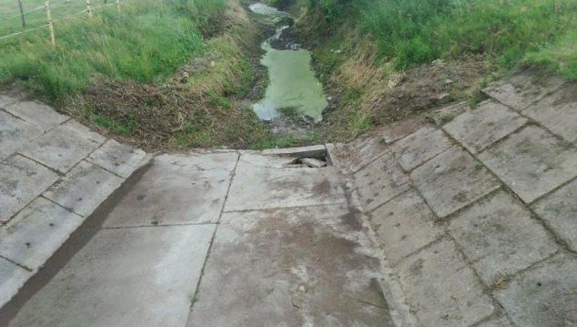 Liwa ponownie płynie Liwa ponownie płynie