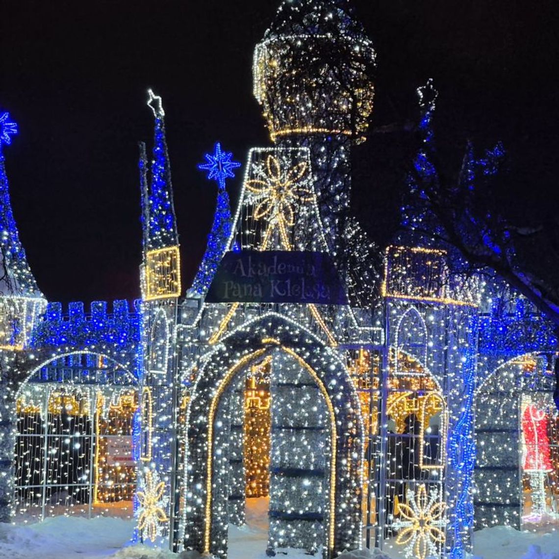 Magia światła w Trójmieście: Lumina Park w Pruszczu Gdańskim i Garden of Lights w Gdyni