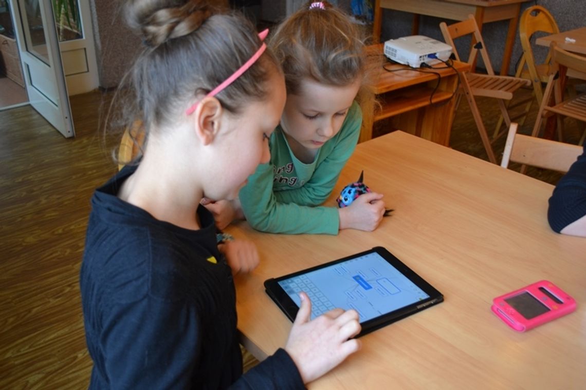 Małpa w internecie