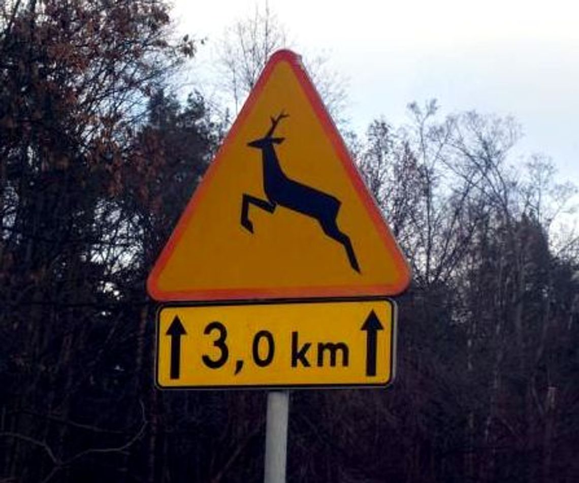 Nie maleje poziom dewastacji