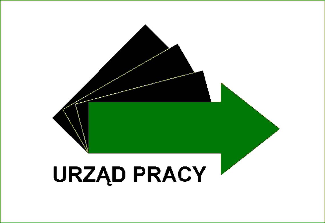 Rośnie liczba ofert pracy
