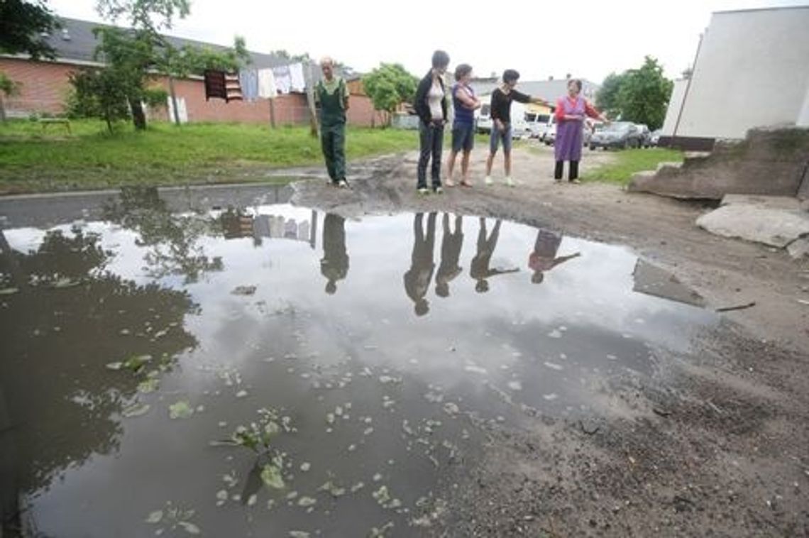 Śmierdzące bajoro na podwórku - nigdy nie wysycha Śmierdzące bajoro na podwórku - nigdy nie wysycha