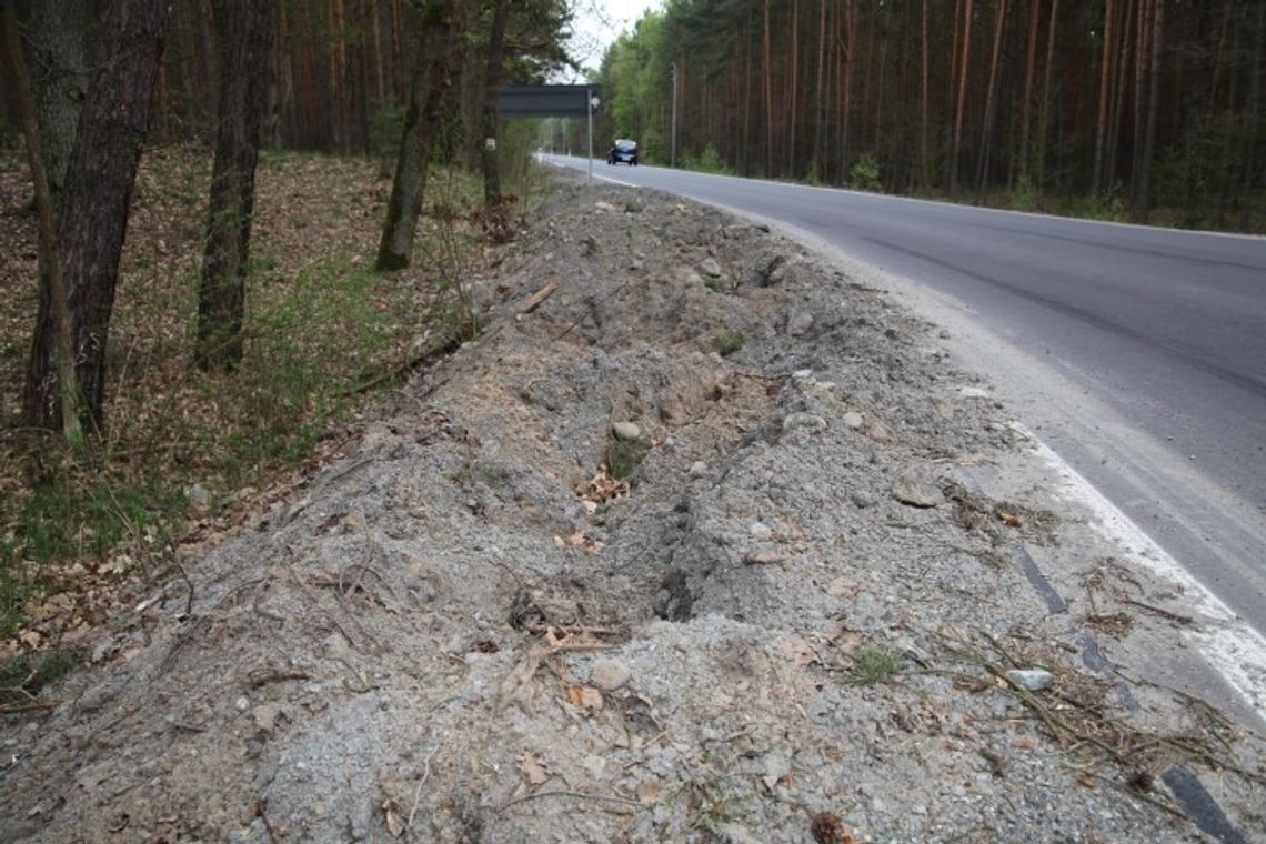 Zwierzęta niszczą pobocze wyremontowanej drogi